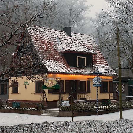 Saengerwiese Eisenach Cameră foto