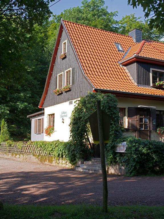 Saengerwiese Eisenach Cameră foto