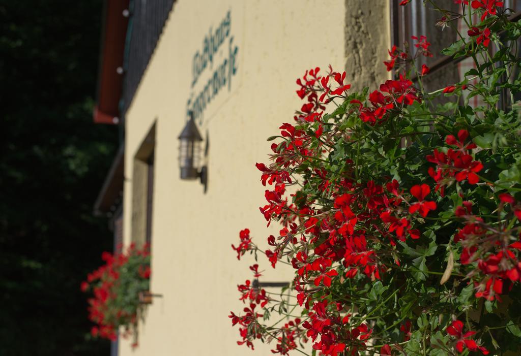 Saengerwiese Eisenach Cameră foto