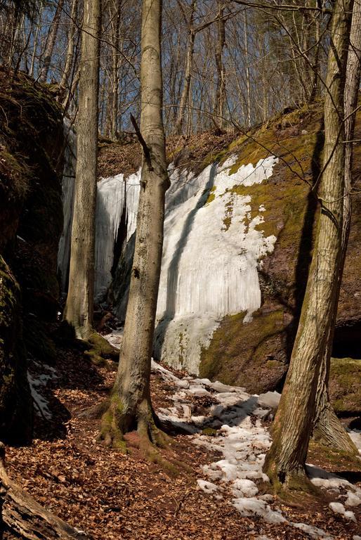 Saengerwiese Eisenach Cameră foto