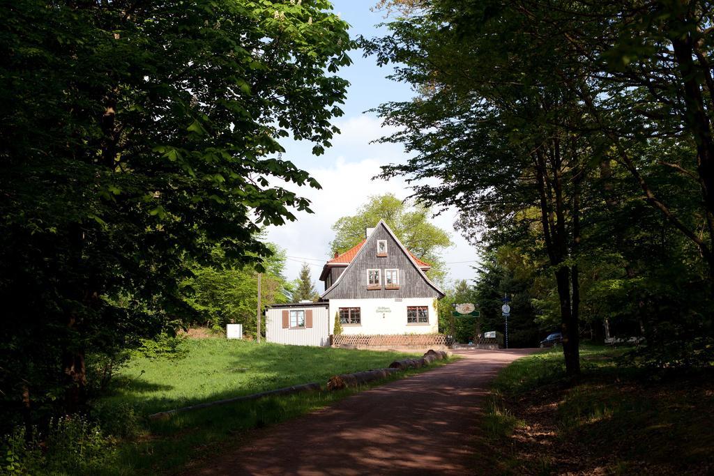 Saengerwiese Eisenach Cameră foto